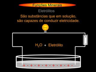 Funções Minerais
            Eletrólitos
  São substâncias que em solução,
são capazes de conduzir eletricidade.



                                        +



                                        -
          H2O + Eletrólito




   +-+-+-+-+-+-+-
 