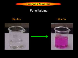 Funções Minerais

           Fenolftaleína

Neutro                      Básico
 