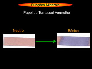 Funções Minerais

     Papel de Tornassol Vermelho




Neutro                        Básico
 