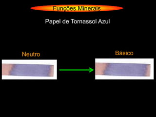Funções Minerais

         Papel de Tornassol Azul




Neutro                             Básico
 