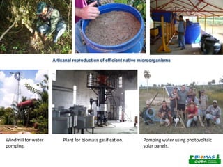 Artisanal reproduction of efficient native microorganisms 
Windmill for water 
pomping. 
Plant for biomass gasification. Pomping water using photovoltaic 
solar panels. 
 