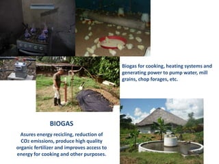 Biogas for cooking, heating systems and 
generating power to pump water, mill 
grains, chop forages, etc. 
BIOGAS 
Asures energy recicling, reduction of 
CO2 emissions, produce high quality 
organic fertilizer and improves access to 
energy for cooking and other purposes. 
 