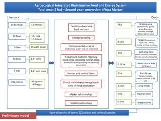 Agroecolgical Integrated Biointensive Food and Energy System 
Total area (8 ha) – Second year conversion «Finca Marta» 
Livestock Crops 
30 Bee hives 
10 Cows 
2 Oxen 
30 Seep 
5 pigs 
100 chicken 
3.0 t honey 
10 t milk 
1.5 t meat 
Draught power 
1.5 t lamb 
1,2 t pork meat 
40 kg meat 
1500 eggs 
Grazing area 
(Dichanthium, guinea 
grass, brachiaria 
leucaena, moringa, 
albizia, legume sps.) 
4 ha 
Forage:Pennisetum, 
sugar cane , morus, 
titonia, eritrina, moringa 
Horticultural area 
(+ 30 sps.) 
0.5 ha 
0.25 ha 
Fruit Grove 
Mango, avocado, 
mamey, coconut, (+ 15 
sps). 
1 ha 
1 ha Riparian zone 
0.5 ha Forest reserve 
Family and workers 
food security 
Food processing 
Environmental services 
(biodiversity, water and soil protection) 
Energy and nutrient recycling 
(worm culture, composting materials, biogas, 
windmill for water pumping and electricity 
generation) 
Cash crop land 
(maize, cassava, sunflower, 
tomato, sweet potato etc.) 
1 ha 
2.5 km Living fences 
Human and animal labor 
Direct and indirect energy inputs 
used in food production 
Market relationships 
Social relationships 
Agro-diversity of some 200 plant and animal species 
Preliminary model 
 