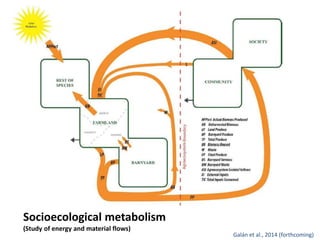 Socioecological metabolism 
(Study of energy and material flows) 
Galán et al., 2014 (forthcoming) 
 