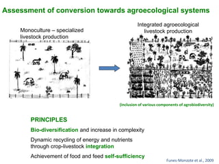 Assessment of conversion towards agroecological systems 
Monoculture – specialized 
livestock production 
Integrated agroecological 
livestock production 
(inclusion of various components of agrobiodiversity) 
PRINCIPLES 
Bio-diversification and increase in complexity 
Dynamic recycling of energy and nutrients 
through crop-livestock integration 
Achievement of food and feed self-sufficiency 
Funes-Monzote et al., 2009 
 