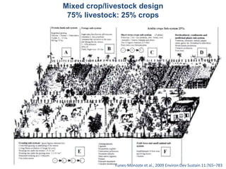 Mixed crop/livestock design 
75% livestock: 25% crops 
Funes-Monzote et al., 2009 Environ Dev Sustain 11:765–783 
 