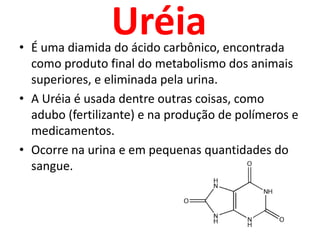 UréiaÉ uma diamida do ácido carbônico, encontrada como produto final do metabolismo dos animais superiores, e eliminada pela urina. A Uréia é usada dentre outras coisas, como adubo (fertilizante) e na produção de polímeros e medicamentos.Ocorre na urina e em pequenas quantidades do sangue.