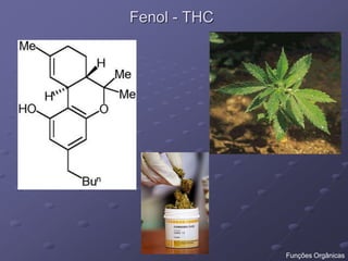 Fenol - THC
Funções Orgânicas
 