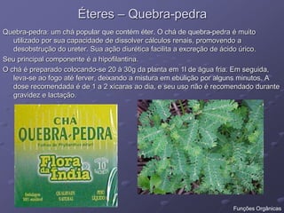 Éteres – Quebra-pedra
Quebra-pedra: um chá popular que contém éter. O chá de quebra-pedra é muito
utilizado por sua capacidade de dissolver cálculos renais, promovendo a
desobstrução do ureter. Sua ação diurética facilita a excreção de ácido úrico.
Seu principal componente é a hipofilantina.
O chá é preparado colocando-se 20 à 30g da planta em 1l de água fria. Em seguida,
leva-se ao fogo até ferver, deixando a mistura em ebulição por alguns minutos. A
dose recomendada é de 1 a 2 xícaras ao dia, e seu uso não é recomendado durante
gravidez e lactação.
Funções Orgânicas
 