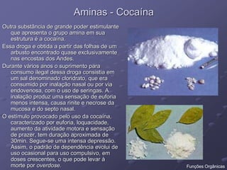 Aminas - Cocaína
Outra substância de grande poder estimulante
que apresenta o grupo amina em sua
estrutura é a cocaína.
Essa droga e obtida a partir das folhas de um
arbusto encontrado quase exclusivamente
nas encostas dos Andes.
Durante vários anos o suprimento para
consumo ilegal dessa droga consistia em
um sal denominado cloridrato, que era
consumido por inalação nasal ou por via
endovenosa, com o uso de seringas. A
inalação produz uma sensação de euforia
menos intensa, causa rinite e necrose da
mucosa e do septo nasal.
O estímulo provocado pelo uso da cocaína,
caracterizado por euforia, loquacidade,
aumento da atividade motora e sensação
de prazer, tem duração aproximada de
30min. Segue-se uma intensa depressão.
Assim, o padrão de dependência evolui de
uso ocasional para uso compulsivo, em
doses crescentes, o que pode levar à
morte por overdose. Funções Orgânicas
 