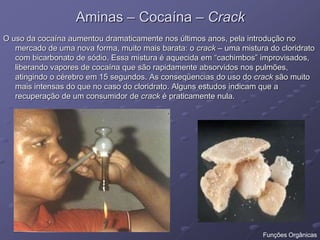 Aminas – Cocaína – Crack
O uso da cocaína aumentou dramaticamente nos últimos anos, pela introdução no
mercado de uma nova forma, muito mais barata: o crack – uma mistura do cloridrato
com bicarbonato de sódio. Essa mistura é aquecida em “cachimbos” improvisados,
liberando vapores de cocaína que são rapidamente absorvidos nos pulmões,
atingindo o cérebro em 15 segundos. As conseqüencias do uso do crack são muito
mais intensas do que no caso do cloridrato. Alguns estudos indicam que a
recuperação de um consumidor de crack é praticamente nula.
Funções Orgânicas
 