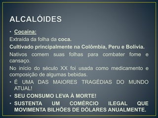 • Cocaína:
Extraída da folha da coca.
Cultivado principalmente na Colômbia, Peru e Bolívia.
Nativos comem suas folhas para combater fome e
cansaço.
No início do século XX foi usada como medicamento e
composição de algumas bebidas.
• É UMA DAS MAIORES TRAGÉDIAS DO MUNDO
ATUAL!
• SEU CONSUMO LEVA À MORTE!
• SUSTENTA UM COMÉRCIO ILEGAL QUE
MOVIMENTA BILHÕES DE DÓLARES ANUALMENTE.
 