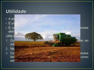 • A amida mais conhecida é a diamida, a uréia.
• É um sólido branco e cristalino e solúvel em água.
• É um dos produtos finais do metabolismo dos animais
eliminado pela urina.
Na indústria química é muito utilizado:
1. Como fertilizante químico para fornecer nitrogênio ao
solo
2. Na alimentação do gado
3. Como matéria-prima para produzir plásticos e produtos
farmacêuticos, medicamentos sedativos e como
estabilizador de explosivos.
 