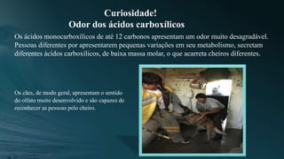 Os ácidos monocarboxílicos de até 12 carbonos apresentam um odor muito desagradável.
Pessoas diferentes por apresentarem pequenas variações em seu metabolismo, secretam
diferentes ácidos carboxílicos, de baixa massa molar, o que acarreta cheiros diferentes.
Os cães, de modo geral, apresentam o sentido
do olfato muito desenvolvido e são capazes de
reconhecer as pessoas pelo cheiro.
Curiosidade!
Odor dos ácidos carboxílicos
 