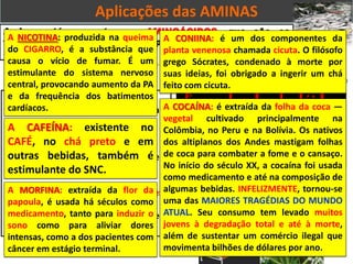 Aplicações das AMINAS
Amina está presente nos AMINOÁCIDOS, que são os
formadores das proteínas, componentes fundamentais dos
seres vivos:
OS ALCALÓIDES
• São aminas cíclicas que apresentam
anéis heterocíclicos contendo N.
• São básicos ou alcalinos.
• São substâncias naturais de origem
vegetal ou animal.
• Nas plantas, têm a função de defesa
contra insetos e animais predadores.
• Em nosso organismo, alguns podem
causar dependência química.
Exemplos de alcalóides
A nicotina, cafeína,
morfina, coniina e
cocaína.
A NICOTINA: produzida na queima
do CIGARRO, é a substância que
causa o vício de fumar. É um
estimulante do sistema nervoso
central, provocando aumento da PA
e da frequência dos batimentos
cardíacos.
A CAFEÍNA: existente no
CAFÉ, no chá preto e em
outras bebidas, também é
estimulante do SNC.
A MORFINA: extraída da flor da
papoula, é usada há séculos como
medicamento, tanto para induzir o
sono como para aliviar dores
intensas, como a dos pacientes com
câncer em estágio terminal.
A CONIINA: é um dos componentes da
planta venenosa chamada cicuta. O filósofo
grego Sócrates, condenado à morte por
suas ideias, foi obrigado a ingerir um chá
feito com cicuta.
A COCAÍNA: é extraída da folha da coca —
vegetal cultivado principalmente na
Colômbia, no Peru e na Bolívia. Os nativos
dos altiplanos dos Andes mastigam folhas
de coca para combater a fome e o cansaço.
No início do século XX, a cocaína foi usada
como medicamento e até na composição de
algumas bebidas. INFELIZMENTE, tornou-se
uma das MAIORES TRAGÉDIAS DO MUNDO
ATUAL. Seu consumo tem levado muitos
jovens à degradação total e até à morte,
além de sustentar um comércio ilegal que
movimenta bilhões de dólares por ano.
 