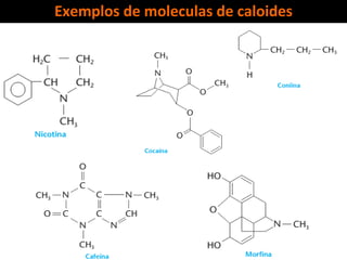 Exemplos de moleculas de caloides
 