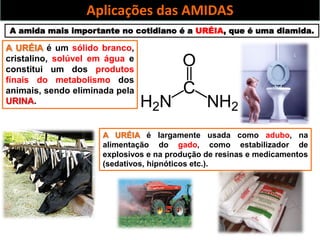 Aplicações das AMIDAS
A amida mais importante no cotidiano é a URÉIA, que é uma diamida.
A URÉIA é um sólido branco,
cristalino, solúvel em água e
constitui um dos produtos
finais do metabolismo dos
animais, sendo eliminada pela
URINA.
A URÉIA é largamente usada como adubo, na
alimentação do gado, como estabilizador de
explosivos e na produção de resinas e medicamentos
(sedativos, hipnóticos etc.).
 