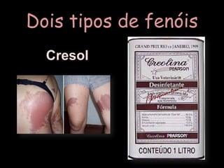 Dois tipos de fenóisCresol