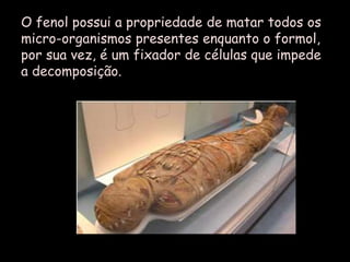 O fenol possui a propriedade de matar todos os micro-organismos presentes enquanto o formol, por sua vez, é um fixador de células que impede a decomposição.