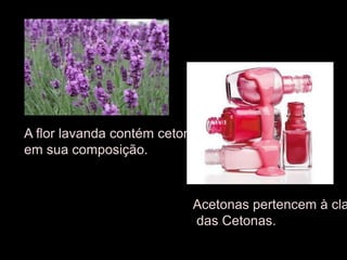 A flor lavanda contém cetonaem sua composição.Acetonas pertencem à classe das Cetonas.