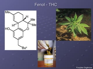 Fenol - THC
Fenol - THC
Funções Orgânicas
 