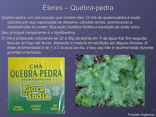 Éteres – Quebra-pedra
Éteres – Quebra-pedra
Quebra-pedra: um chá popular que contém éter. O chá de quebra-pedra é muito
Quebra-pedra: um chá popular que contém éter. O chá de quebra-pedra é muito
utilizado por sua capacidade de dissolver cálculos renais, promovendo a
utilizado por sua capacidade de dissolver cálculos renais, promovendo a
desobstrução do ureter. Sua ação diurética facilita a excreção de ácido úrico.
desobstrução do ureter. Sua ação diurética facilita a excreção de ácido úrico.
Seu principal componente é a hipofilantina.
Seu principal componente é a hipofilantina.
O chá é preparado colocando-se 20 à 30g da planta em 1l de água fria. Em seguida,
O chá é preparado colocando-se 20 à 30g da planta em 1l de água fria. Em seguida,
leva-se ao fogo até ferver, deixando a mistura em ebulição por alguns minutos. A
leva-se ao fogo até ferver, deixando a mistura em ebulição por alguns minutos. A
dose recomendada é de 1 a 2 xícaras ao dia, e seu uso não é recomendado durante
dose recomendada é de 1 a 2 xícaras ao dia, e seu uso não é recomendado durante
gravidez e lactação.
gravidez e lactação.
Funções Orgânicas
 