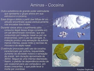 Aminas - Cocaína
Aminas - Cocaína
Outra substância de grande poder estimulante
Outra substância de grande poder estimulante
que apresenta o grupo amina em sua
que apresenta o grupo amina em sua
estrutura é a cocaína.
estrutura é a cocaína.
Essa droga e obtida a partir das folhas de um
Essa droga e obtida a partir das folhas de um
arbusto encontrado quase exclusivamente
arbusto encontrado quase exclusivamente
nas encostas dos Andes.
nas encostas dos Andes.
Durante vários anos o suprimento para
Durante vários anos o suprimento para
consumo ilegal dessa droga consistia em
consumo ilegal dessa droga consistia em
um sal denominado cloridrato, que era
um sal denominado cloridrato, que era
consumido por inalação nasal ou por via
consumido por inalação nasal ou por via
endovenosa, com o uso de seringas. A
endovenosa, com o uso de seringas. A
inalação produz uma sensação de euforia
inalação produz uma sensação de euforia
menos intensa, causa rinite e necrose da
menos intensa, causa rinite e necrose da
mucosa e do septo nasal.
mucosa e do septo nasal.
O estímulo provocado pelo uso da cocaína,
O estímulo provocado pelo uso da cocaína,
caracterizado por euforia, loquacidade,
caracterizado por euforia, loquacidade,
aumento da atividade motora e sensação
aumento da atividade motora e sensação
de prazer, tem duração aproximada de
de prazer, tem duração aproximada de
30min. Segue-se uma intensa depressão.
30min. Segue-se uma intensa depressão.
Assim, o padrão de dependência evolui de
Assim, o padrão de dependência evolui de
uso ocasional para uso compulsivo, em
uso ocasional para uso compulsivo, em
doses crescentes, o que pode levar à
doses crescentes, o que pode levar à
morte por
morte por overdose.
overdose. Funções Orgânicas
 