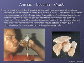 Aminas – Cocaína –
Aminas – Cocaína – Crack
Crack
O uso da cocaína aumentou dramaticamente nos últimos anos, pela introdução no
O uso da cocaína aumentou dramaticamente nos últimos anos, pela introdução no
mercado de uma nova forma, muito mais barata: o
mercado de uma nova forma, muito mais barata: o crack
crack – uma mistura do cloridrato
– uma mistura do cloridrato
com bicarbonato de sódio. Essa mistura é aquecida em “cachimbos” improvisados,
com bicarbonato de sódio. Essa mistura é aquecida em “cachimbos” improvisados,
liberando vapores de cocaína que são rapidamente absorvidos nos pulmões,
liberando vapores de cocaína que são rapidamente absorvidos nos pulmões,
atingindo o cérebro em 15 segundos. As conseqüencias do uso do
atingindo o cérebro em 15 segundos. As conseqüencias do uso do crack
crack são muito
são muito
mais intensas do que no caso do cloridrato. Alguns estudos indicam que a
mais intensas do que no caso do cloridrato. Alguns estudos indicam que a
recuperação de um consumidor de
recuperação de um consumidor de crack
crack é praticamente nula.
é praticamente nula.
Funções Orgânicas
 