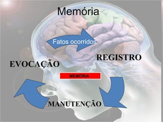 Fatos ocorridos MEMÓRIA Memória REGISTRO MANUTENÇÃO EVOCAÇÃO 