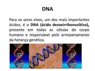 DNA
Para os seres vivos, um dos mais importantes
ácidos, é o DNA (ácido desoxirribonucléico),
presente em todas as células do corpo
humano e responsável pelo armazenamento
da herança genética.
 
