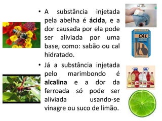 • A substância injetada
pela abelha é ácida, e a
dor causada por ela pode
ser aliviada por uma
base, como: sabão ou cal
hidratado.
• Já a substância injetada
pelo marimbondo é
alcalina e a dor da
ferroada só pode ser
aliviada usando-se
vinagre ou suco de limão.
 