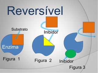 Figura 3
Substrato
Figura 1 Figura 2
Inibidor
Enzima
Inibidor
Reversível
 
