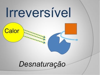 Irreversível
Calor
Desnaturação
 