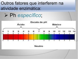 Outros fatores que interferem na
atividade enzimática:
 Ph específico;
 