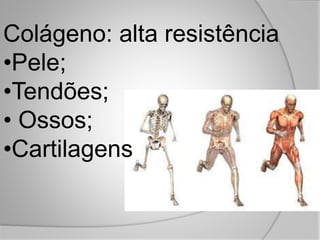 Colágeno: alta resistência
•Pele;
•Tendões;
• Ossos;
•Cartilagens
 