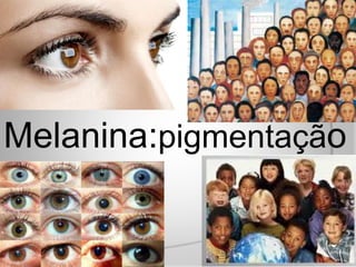 Melanina:pigmentação
 