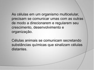 As células em um organismo multicelular,
precisam se comunicar umas com as outras
de modo a direcionarem e regularem seu
crescimento, desenvolvimento e
organização.
Células animais se comunicam secretando
substâncias químicas que sinalizam células
distantes.
 