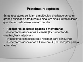Proteínas receptoras
Estes receptores se ligam a moléculas sinalizadoras com
grande afinidade e traduzem o sinal em sinais intracelulares
que afetam o desenvolvimento celular.
• Receptores celulares ligados à membrana:
- Receptores associados a canais (Ex.: receptor de
sinalizações sinápticas)
- Receptores catalíticos (Ex.: receptor para a insulina)
- Receptores associados a Proteína-G (Ex.: receptor para a
adrenalina)
 