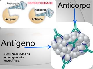 Antígeno
Anticorpo
Obs.: Nem todos os
anticorpos são
específicos.
 