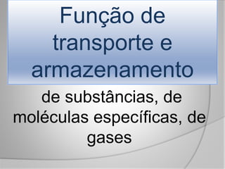Função de
transporte e
armazenamento
de substâncias, de
moléculas específicas, de
gases
 