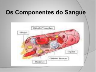 Os Componentes do Sangue
 