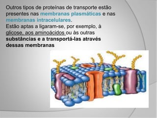Outros tipos de proteínas de transporte estão
presentes nas membranas plasmáticas e nas
membranas intracelulares.
Estão aptas a ligaram-se, por exemplo, à
glicose, aos aminoácidos ou às outras
substâncias e a transportá-las através
dessas membranas
 