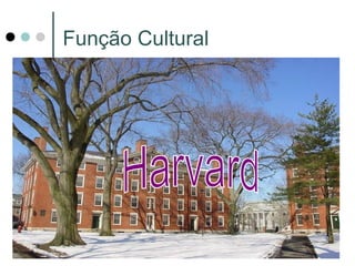 Função Cultural
 