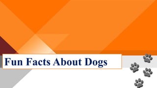 Fun Facts About Dogs
 
