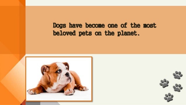 facts about puppies facts about dogs facts about puppies facts about dogs