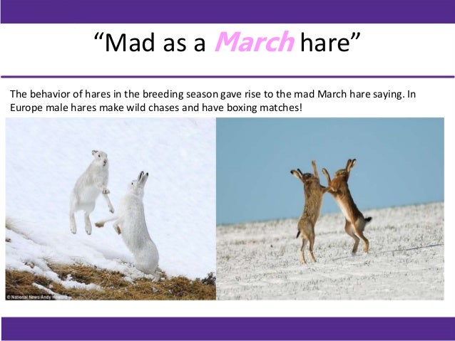 Fun facts about march