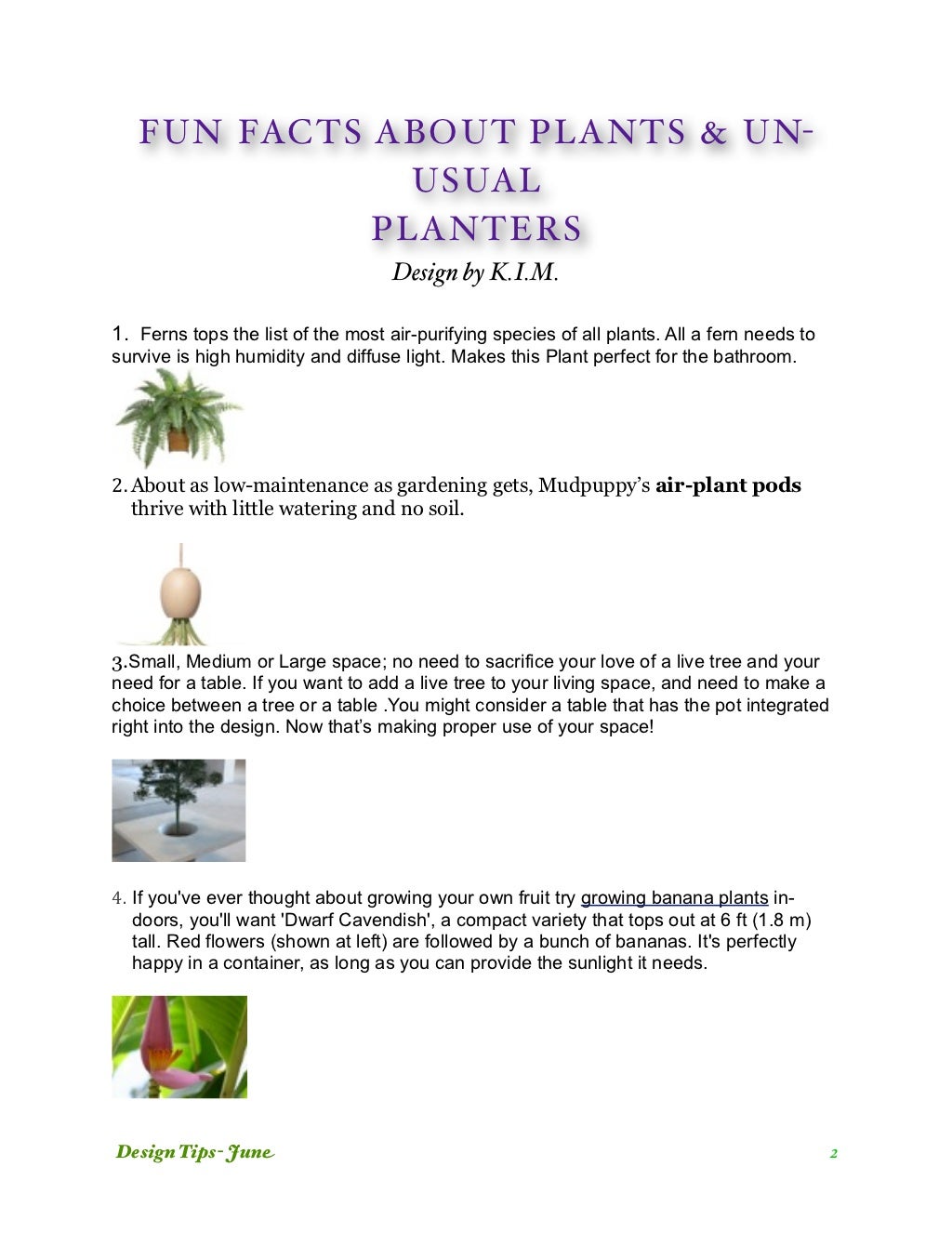 Fun Facts Plants & Planters