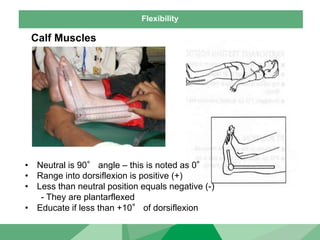 Flexibility
Calf Muscles
• Neutral is 90° angle – this is noted as 0°
• Range into dorsiflexion is positive (+)
• Less than neutral position equals negative (-)
- They are plantarflexed
• Educate if less than +10° of dorsiflexion
 