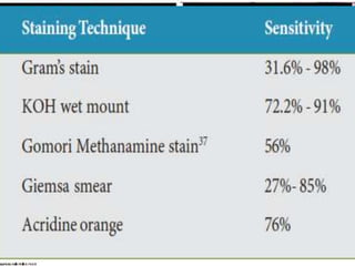 • INTERPRETATION
• filamentous fungi:variable response
• co existing bacterial infection identified.
– GRAM+ve :
– thick peptidoglycan cell wall more 1 dye penetration.
– appears violet.
– GRAM –VE:
– appears pink.
• yeast:gram + ve oval/round shape
• Nocardia:thin gram +ve branched beaded filament.
 