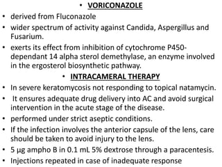 • VORICONAZOLE
• derived from Fluconazole
• wider spectrum of activity against Candida, Aspergillus and
Fusarium.
• exerts its effect from inhibition of cytochrome P450-
dependant 14 alpha sterol demethylase, an enzyme involved
in the ergosterol biosynthetic pathway.
• INTRACAMERAL THERAPY
• In severe keratomycosis not responding to topical natamycin.
• It ensures adequate drug delivery into AC and avoid surgical
intervention in the acute stage of the disease.
• performed under strict aseptic conditions.
• If the infection involves the anterior capsule of the lens, care
should be taken to avoid injury to the lens.
• 5 μg ampho B in 0.1 mL 5% dextrose through a paracentesis.
• Injections repeated in case of inadequate response
 